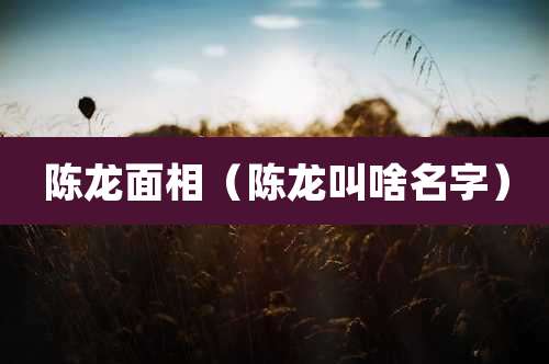 陈龙面相（陈龙叫啥名字）