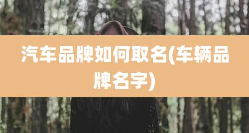 汽车品牌如何取名(车辆品牌名字)
