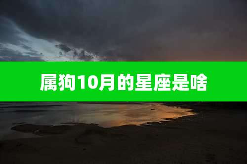 属狗10月的星座是啥
