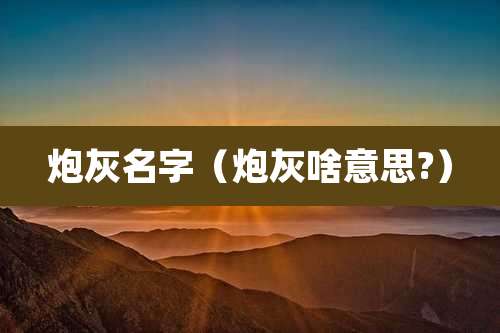 炮灰名字(炮灰啥意思?)