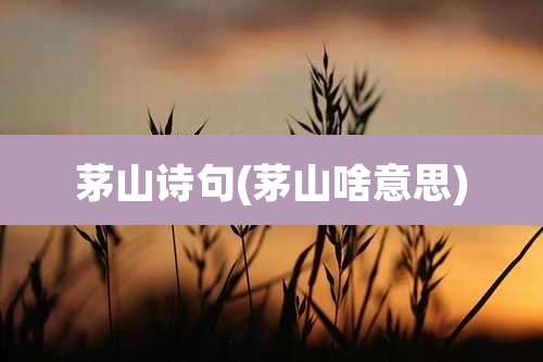 茅山诗句(茅山啥意思)