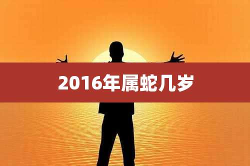 2016年属蛇几岁
