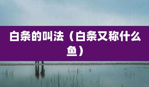 白条的叫法（白条又称什么鱼）