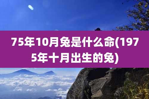 75年10月兔是什么命(1975年十月出生的兔)