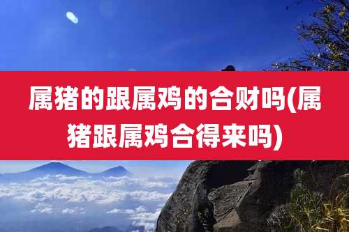 属猪的跟属鸡的合财吗(属猪跟属鸡合得来吗)