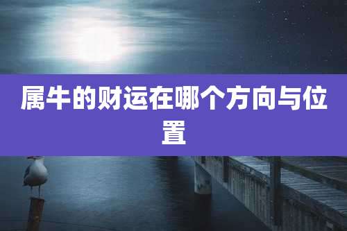 属牛的财运在哪个方向与位置