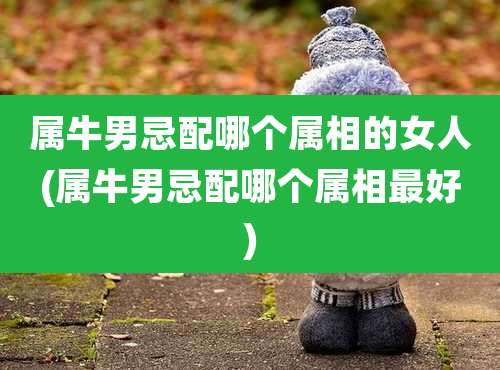 属牛男忌配哪个属相的女人(属牛男忌配哪个属相最好)