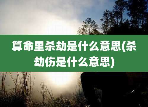 算命里杀劫是什么意思(杀劫伤是什么意思)