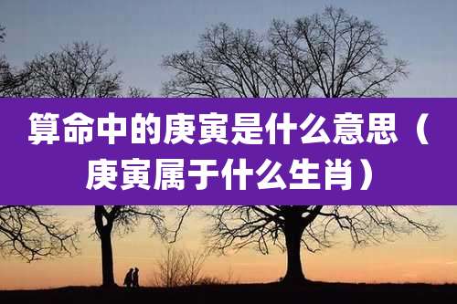 算命中的庚寅是什么意思（庚寅属于什么生肖）