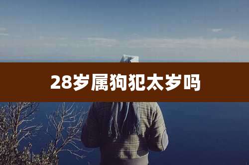 28岁属狗犯太岁吗