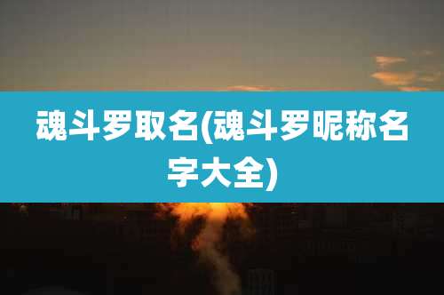 魂斗罗取名(魂斗罗昵称名字大全)
