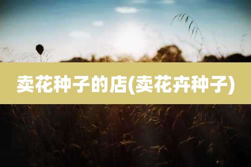 卖花种子的店(卖花卉种子)