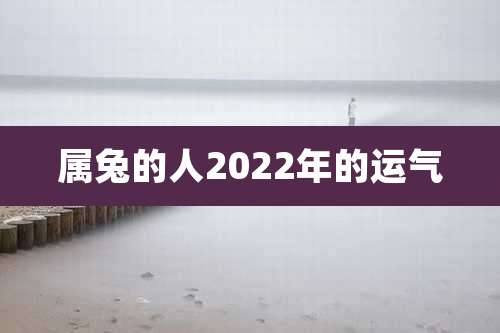 属兔的人2022年的运气