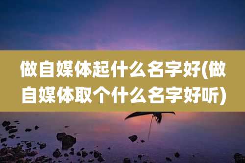 做自媒体起什么名字好(做自媒体取个什么名字好听)
