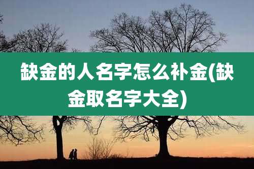 缺金的人名字怎么补金(缺金取名字大全)