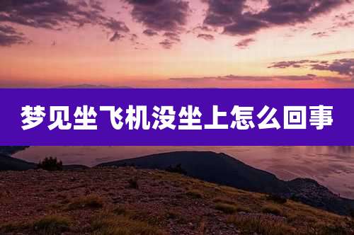 梦见坐飞机没坐上怎么回事