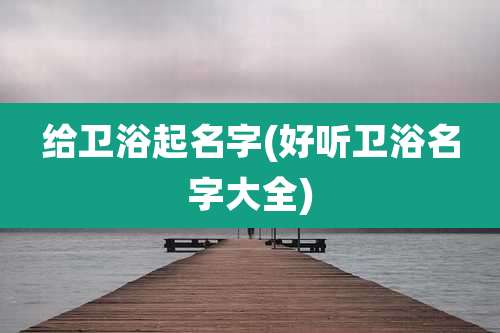 给卫浴起名字(好听卫浴名字大全)
