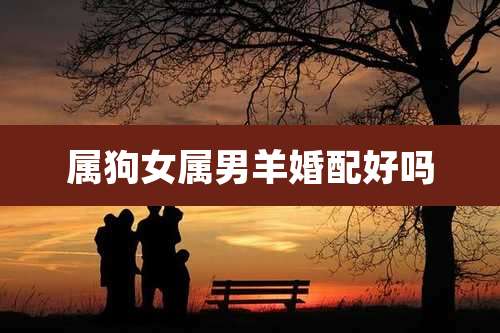 属狗女属男羊婚配好吗