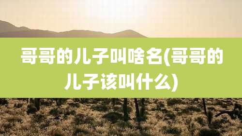 哥哥的儿子叫啥名(哥哥的儿子该叫什么)