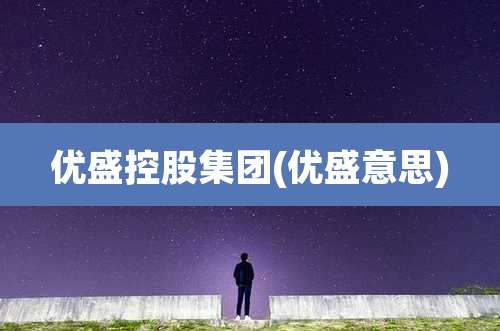 优盛控股集团(优盛意思)