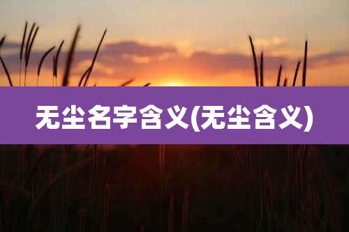 无尘名字含义(无尘含义)