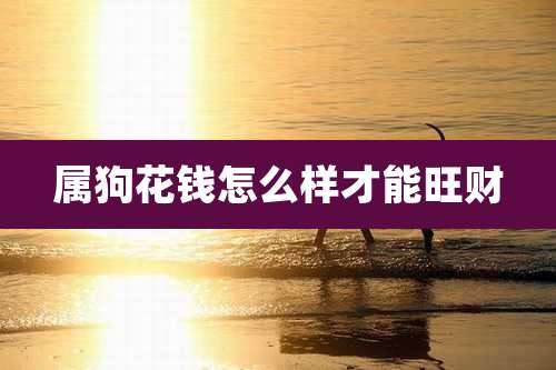 属狗花钱怎么样才能旺财