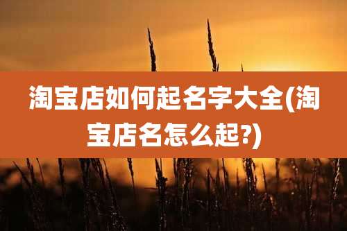 淘宝店如何起名字大全(淘宝店名怎么起?)