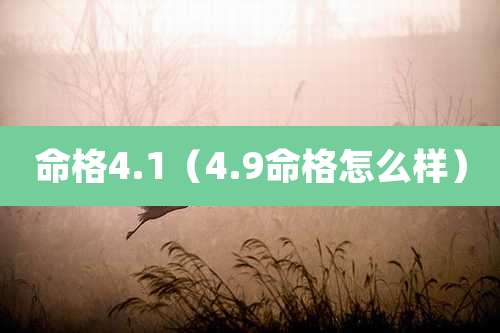 命格4.1（4.9命格怎么样）