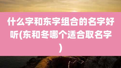 什么字和东字组合的名字好听(东和冬哪个适合取名字)