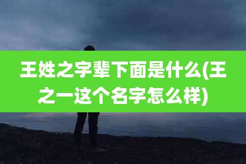 王姓之字辈下面是什么(王之一这个名字怎么样)