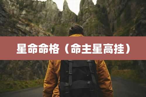 星命命格(命主星高挂)