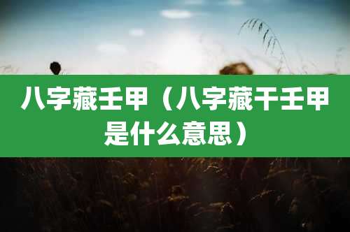 八字藏壬甲(八字藏干壬甲是什么意思)