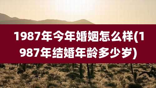 1987年今年婚姻怎么样(1987年结婚年龄多少岁)