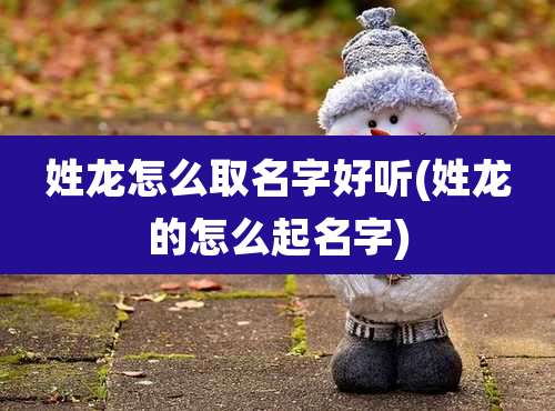 姓龙怎么取名字好听(姓龙的怎么起名字)