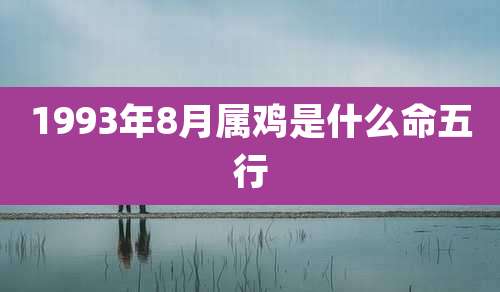 1993年8月属鸡是什么命五行