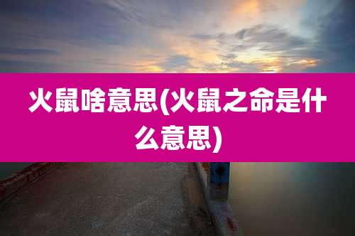 火鼠啥意思(火鼠之命是什么意思)