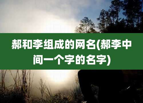 郝和李组成的网名(郝李中间一个字的名字)