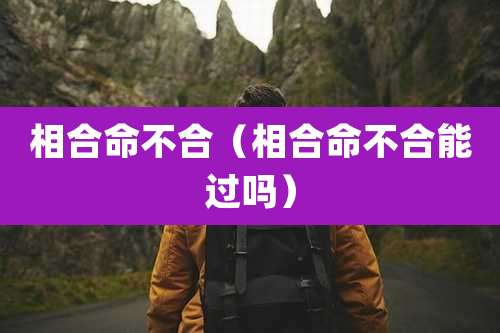 相合命不合(相合命不合能过吗)