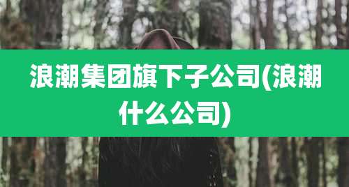 浪潮集团旗下子公司(浪潮什么公司)