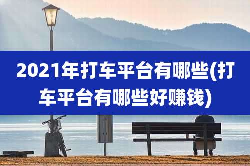 2021年打车平台有哪些(打车平台有哪些好赚钱)