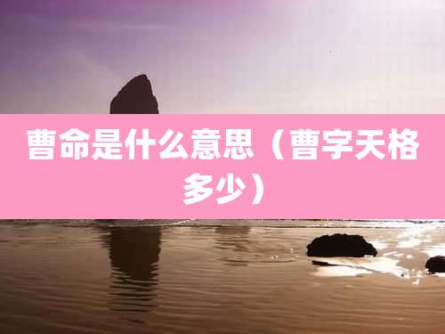 曹命是什么意思（曹字天格多少）