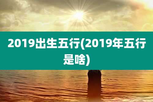 2019出生五行(2019年五行是啥)
