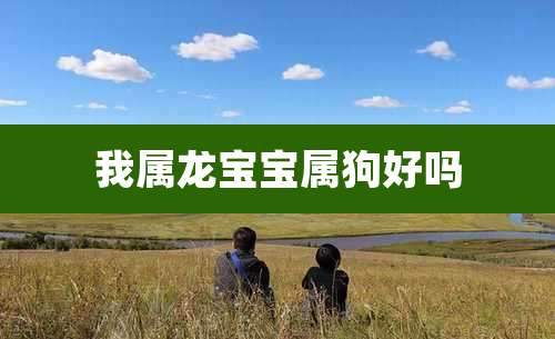 我属龙宝宝属狗好吗