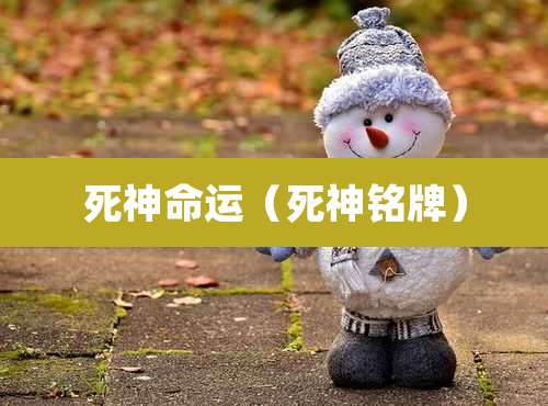 死神命运（死神铭牌）