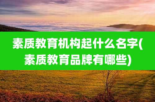 素质教育机构起什么名字(素质教育品牌有哪些)