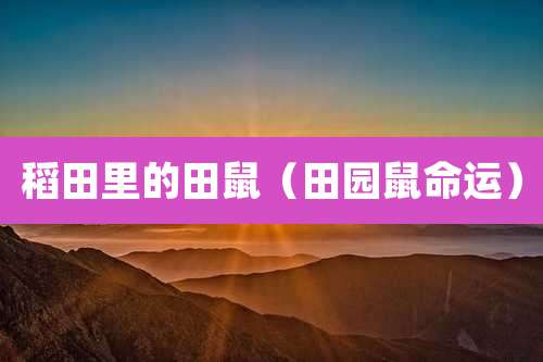 稻田里的田鼠（田园鼠命运）