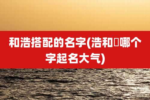 和浩搭配的名字(浩和澔哪个字起名大气)