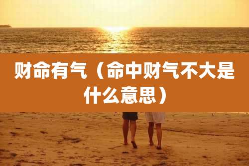 财命有气(命中财气不大是什么意思)