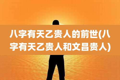 八字有天乙贵人的前世(八字有天乙贵人和文昌贵人)