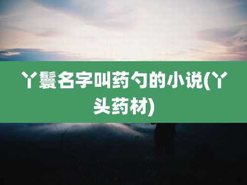 丫鬟名字叫药勺的小说(丫头药材)